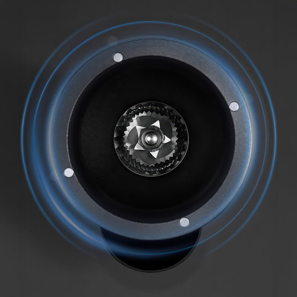 Precision Home Coffee Grinder