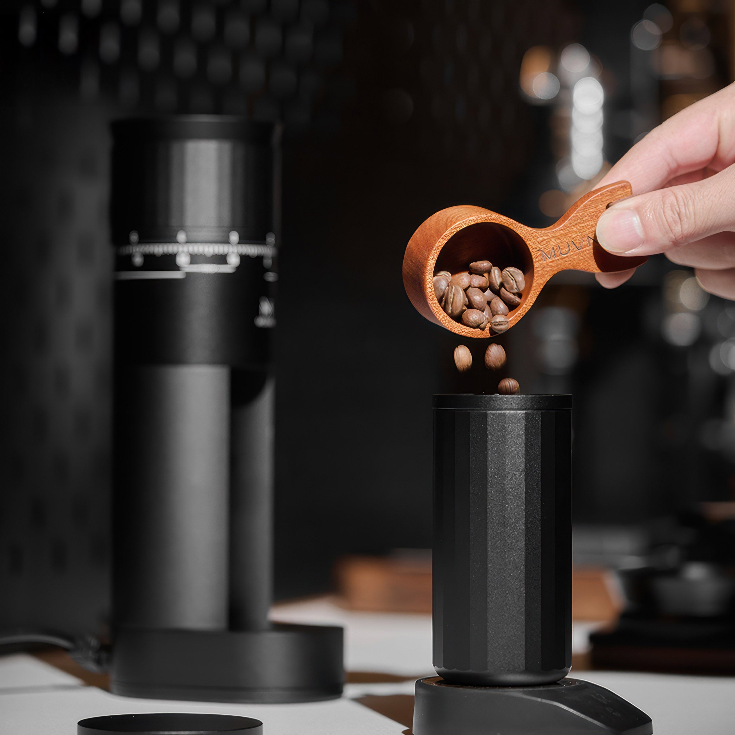 Precision Home Coffee Grinder